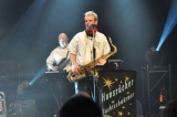 Hunsrcker Nachtschwrmer