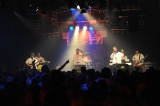 Hunsrcker Nachtschwrmer