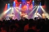 Hunsrcker Nachtschwrmer